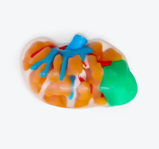 Simulation & Prototyping